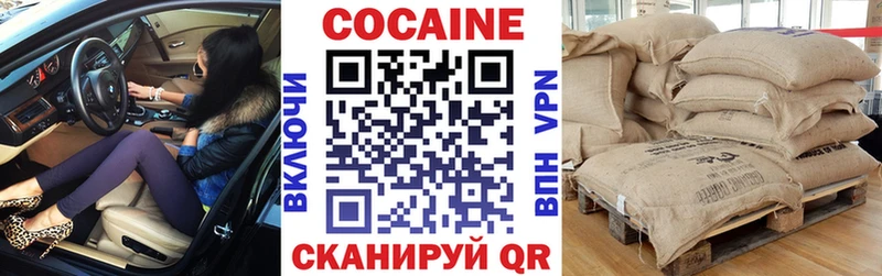 Cocaine FishScale  магазин продажи наркотиков  Елизово 