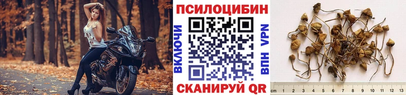 наркошоп Елизово Галлюциногенные грибы мухоморы